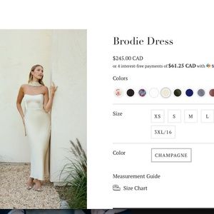 Size XL Brodie dress NWT